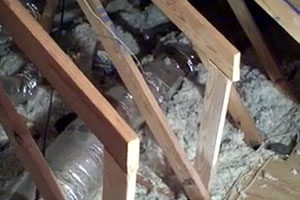 building_inspection_port_macquarie