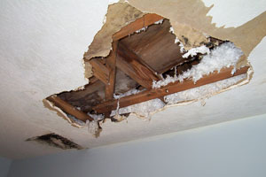 building_inspections_taree